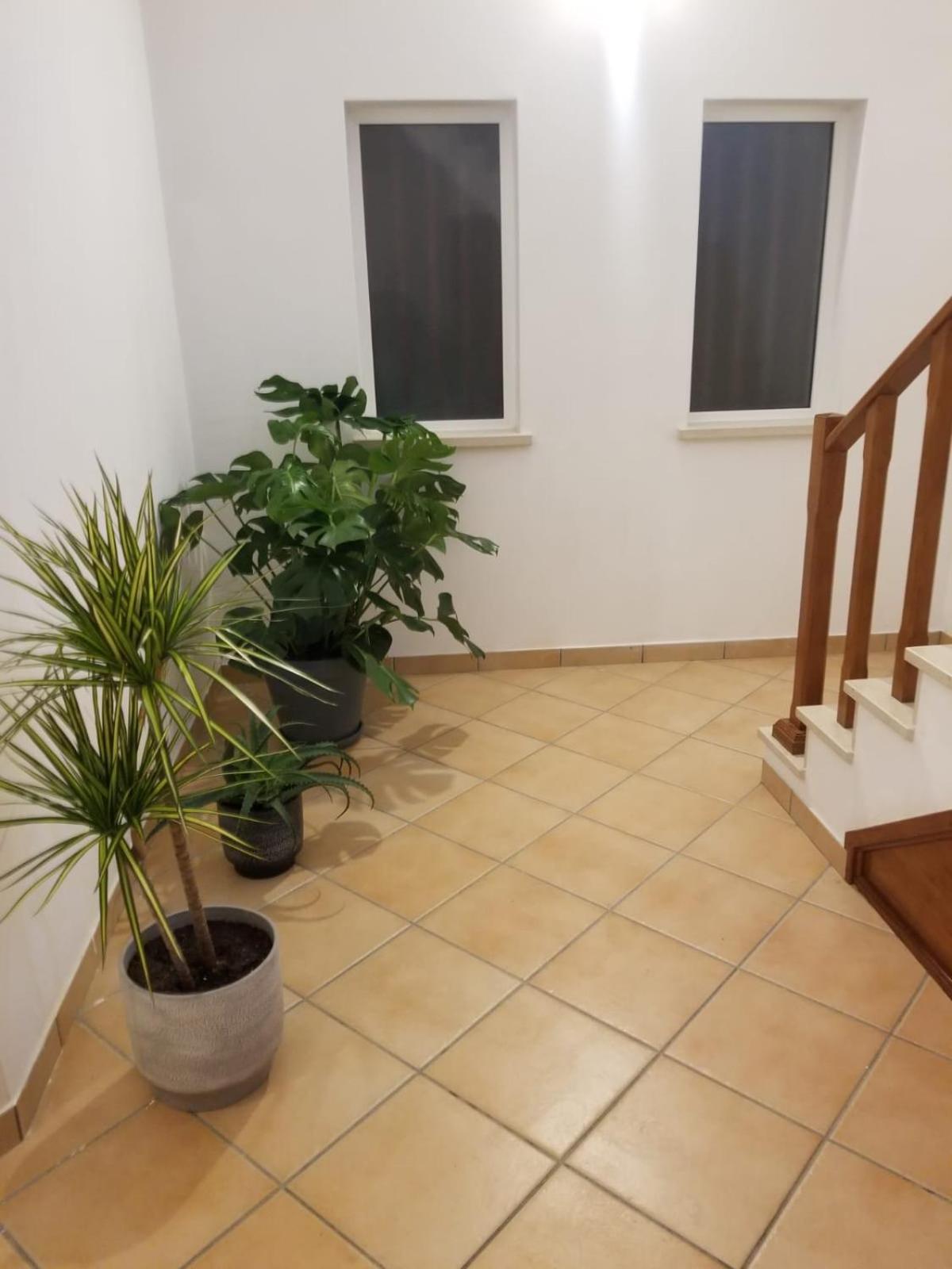 Le Parisien 1 Apartment Serra d'El-Rei ภายนอก รูปภาพ